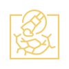 icons8-drywall-repair-100